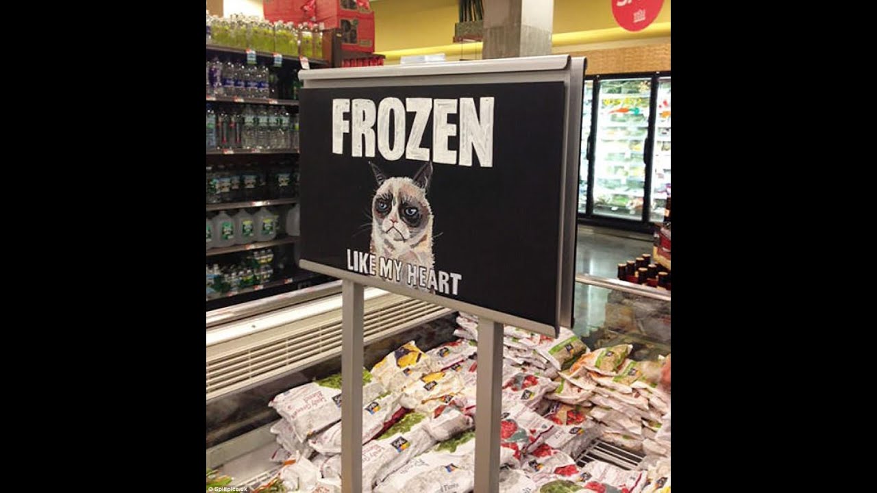 Funny & Hilarious Signs From Around The World To Laugh At!!  Part 210