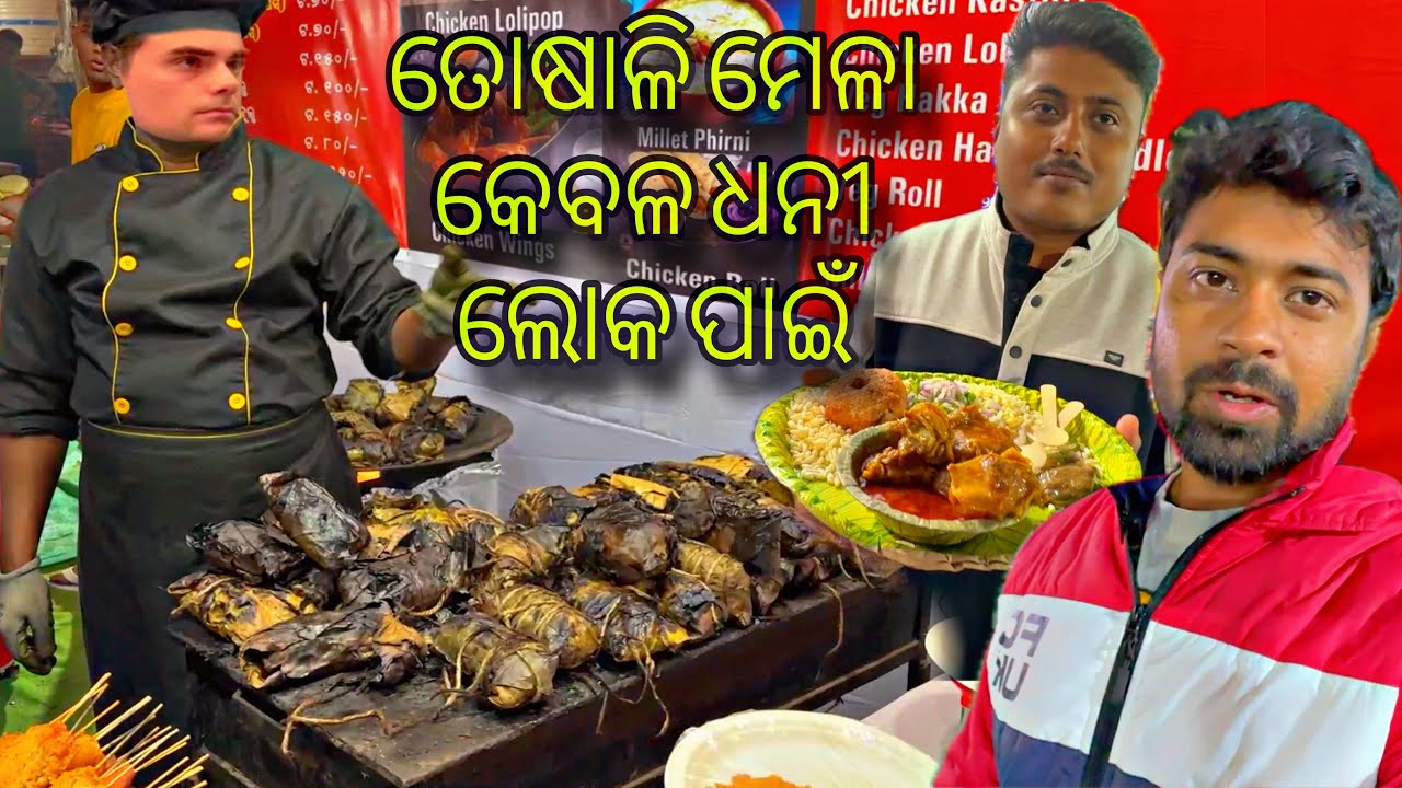 ତୋଷାଳି ମେଳା ଧନୀ ଲୋକଙ୍କ ପାଇଁ | My Honest Experience at Bhubaneswar Toshali Mela