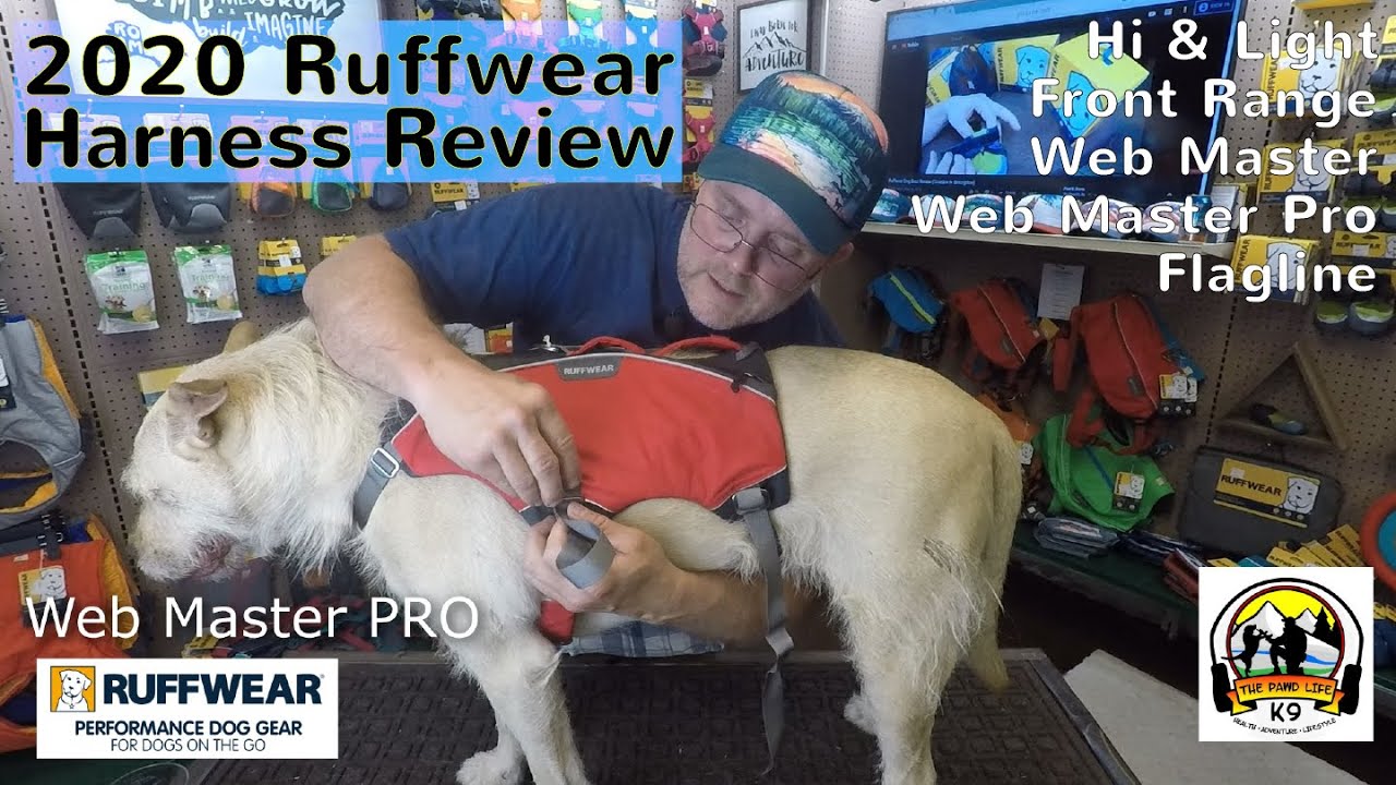 2020 Ruffwear Harness Review
