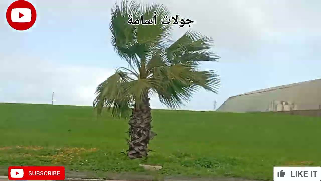 السلام عليكم ورحمه الله تعالى وبركاته جول ممتعه في حد السوالم🙏🙏🤲🤲