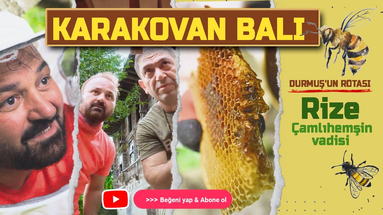 🍯✨Şifa Kaynağı Karakovan Balı 🍯✨ / Durmuş'un Rotası