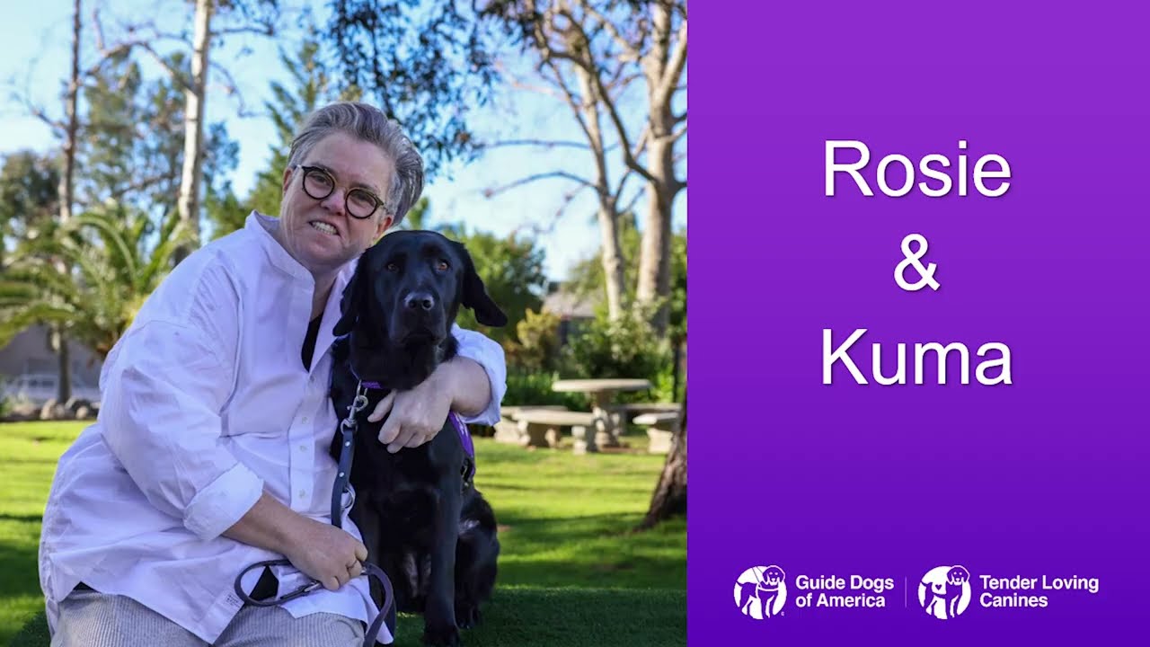 Rosie & Kuma | Autism Service Dog Team
