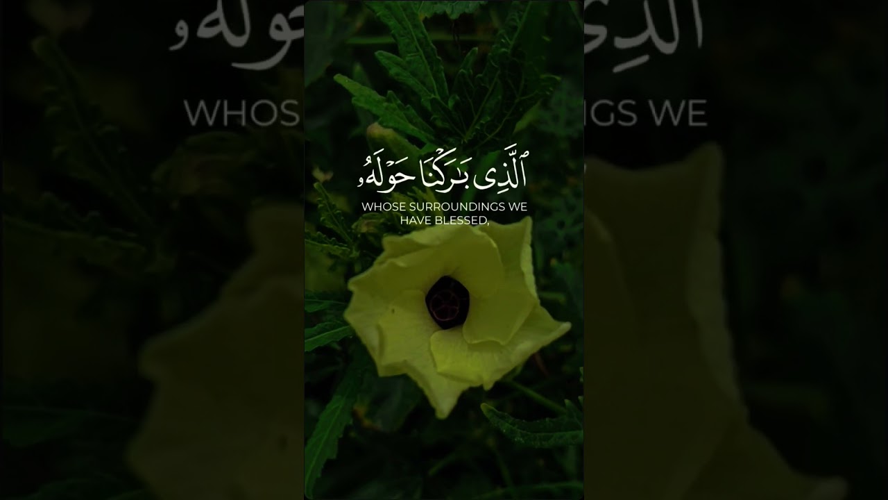 Quran Verses Recitation no.16 #quran #quranrecitaion #quranverses #quranrecition #quranrecitation