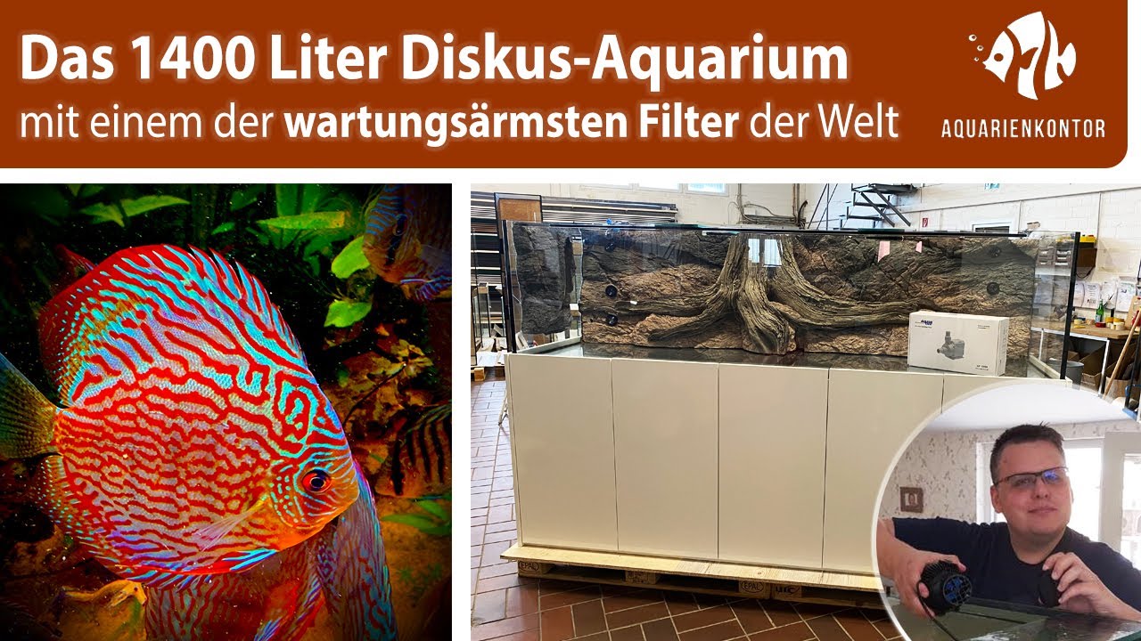 Das 1400 Liter Energie-Spar-Diskusaquarium, Teil 1: Vor der Auslieferung