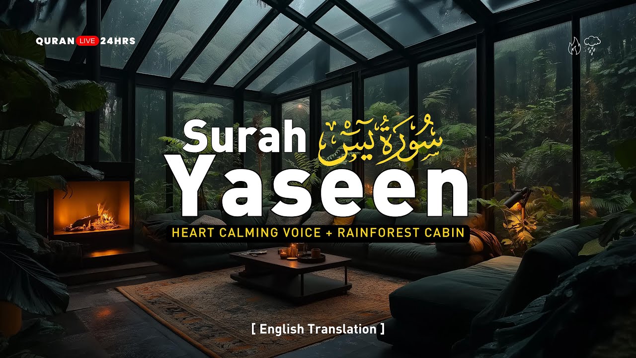 Yasin Surah Full (Surah Yaseen) سورة يس | Heart Calming voice & Rainforest Cabin