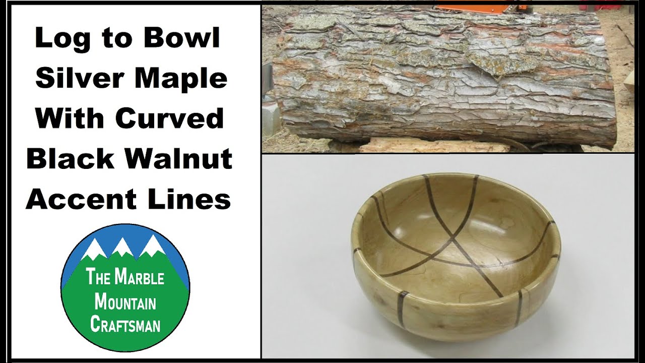 Silver Maple Log to Bowl With Curved Black Walnut Accents