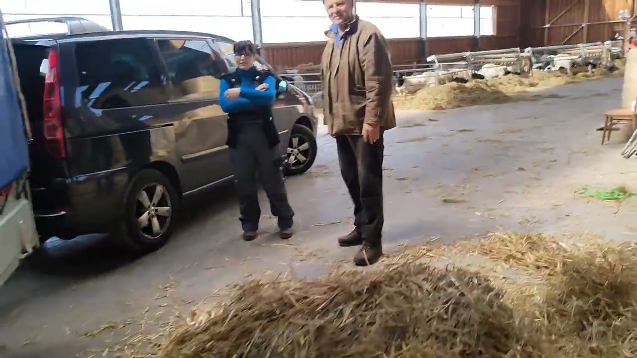 Dobr&eacute; r&aacute;no, jsem Bohun 😉 Owocna Wizyta w Hodowli Owiec Dorper w Plchovicach # 104