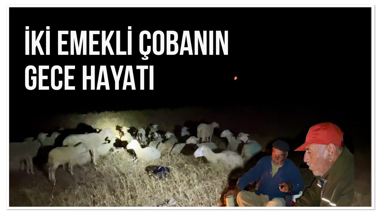 İKİ EMEKLİ ÇOBANIN GECE HAYATI