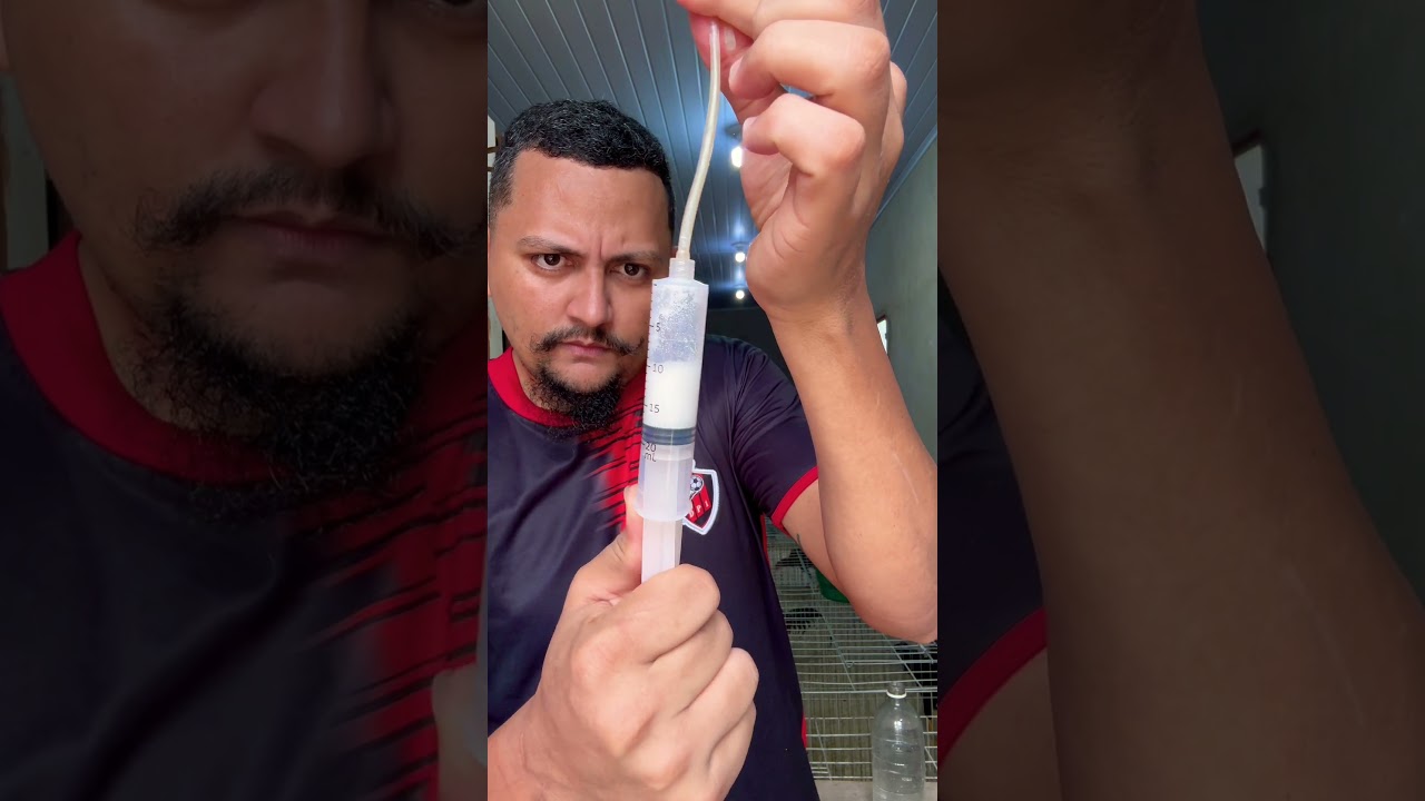 Dica para combate a roncadeira diarreia branca,coccidiose...