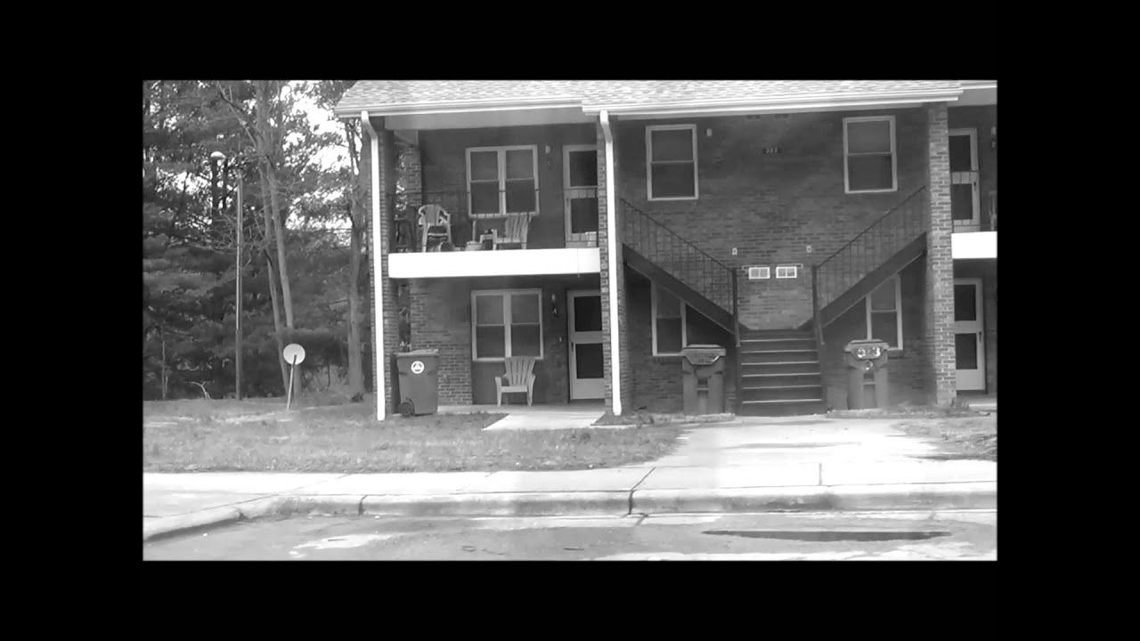 BloodLine- Destiny