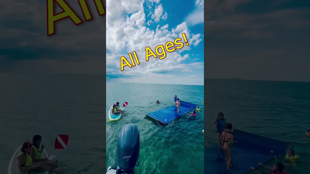 Snorkeling for Beginners at the Biscayne National Park in Homestead FL