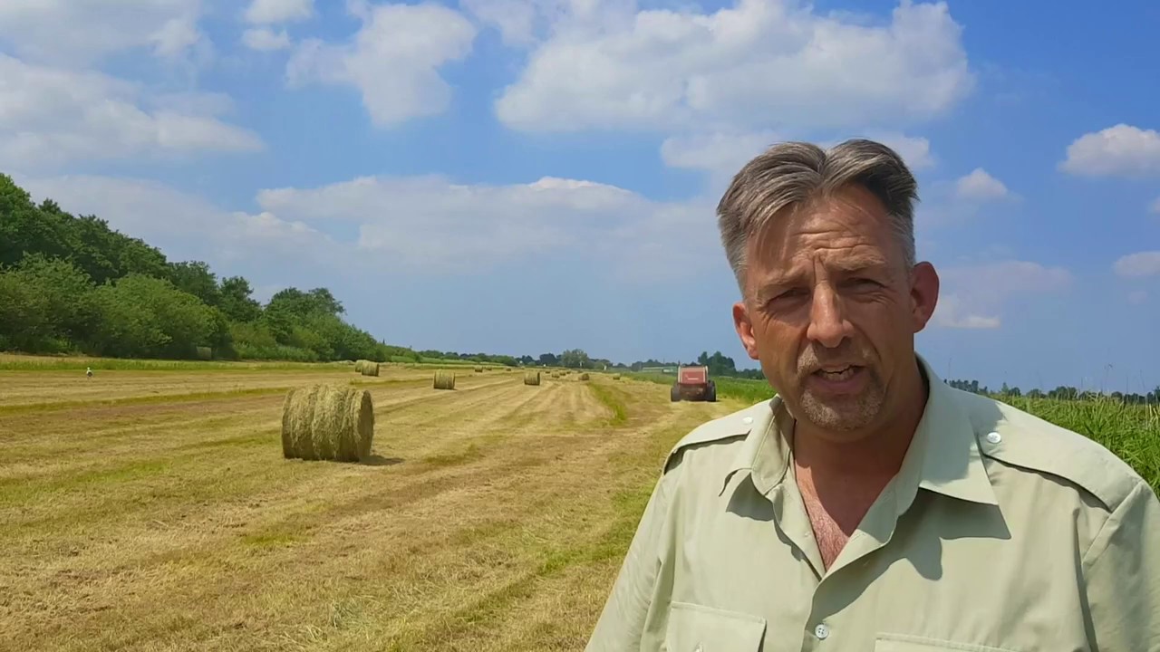 Zomerwerkzaamheden It Fryske Gea