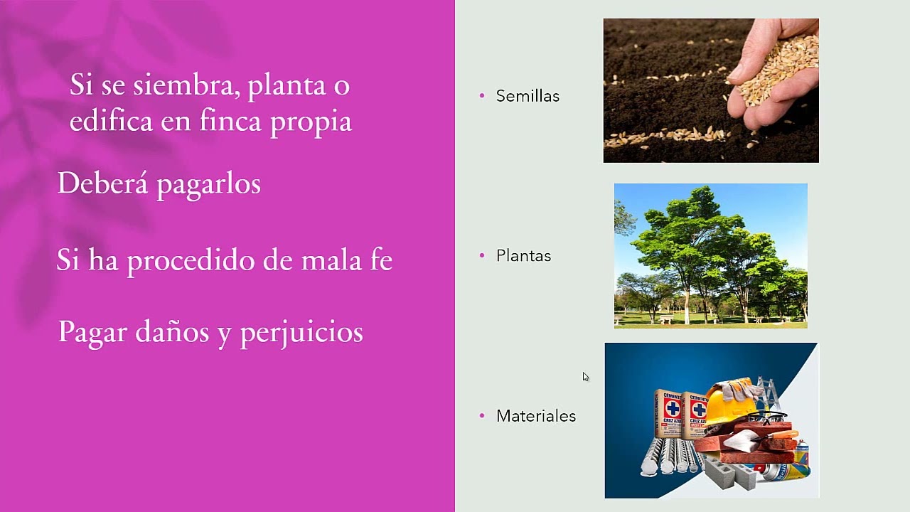 Derecho de accesi&oacute;n: si se siembra, planta o edifica
