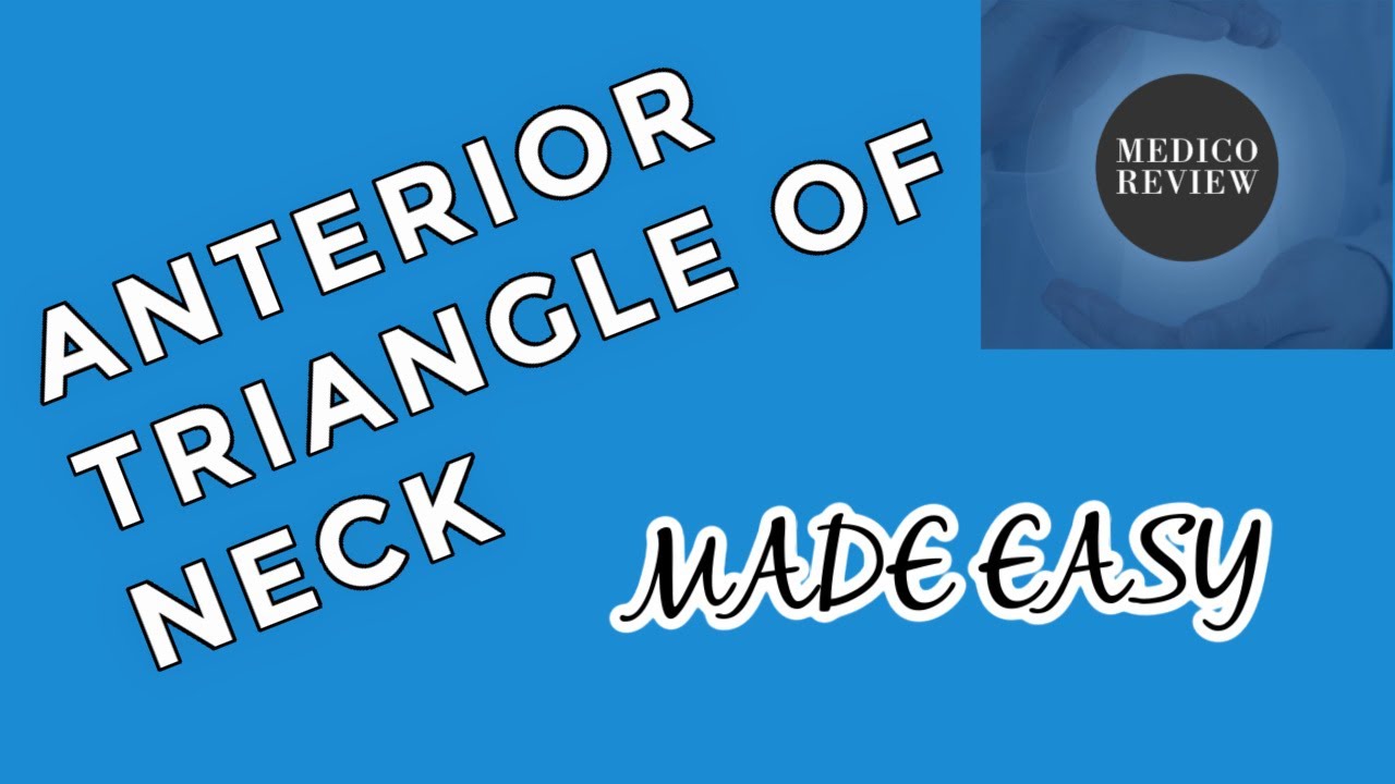 Anterior Triangle of Neck (PART 2)|anterior triangle of neck MADE EASY