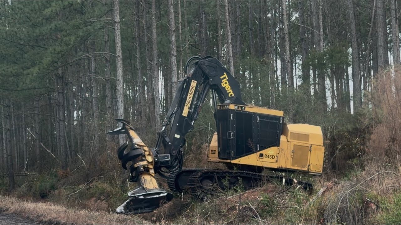 DSL- Heavy Duty Logging Equipment Tigercat 845D Track Fellerbuncher