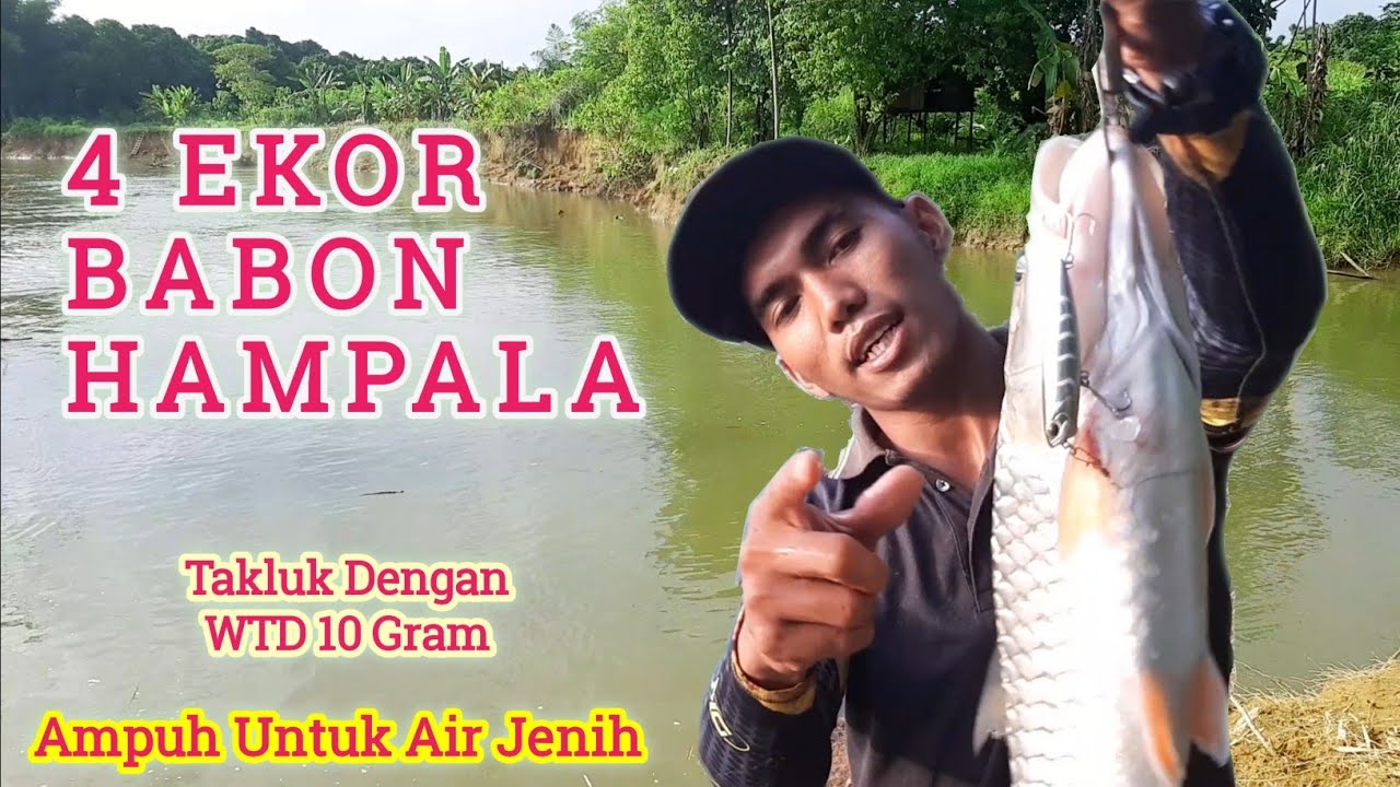 4 EKOR BABON HAMPALA TAKLUK DENGAN UMPAN WTD 10 Gram |  Umpan Ampuh Casting Hampala Di Sungai