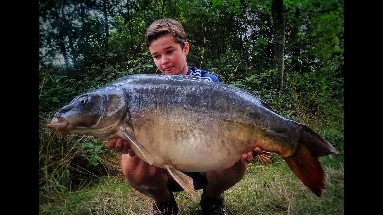 Pêche de la carpe/ Summer 2018 / ** Au cœur des nénuphars ** FULL HD