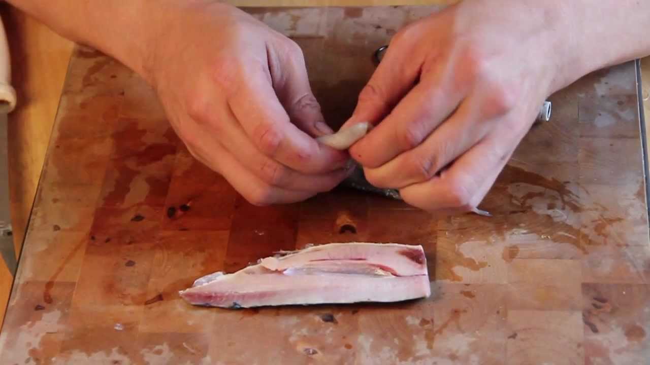 Cod Fishing Baits Video - Herring And Squid Wrap