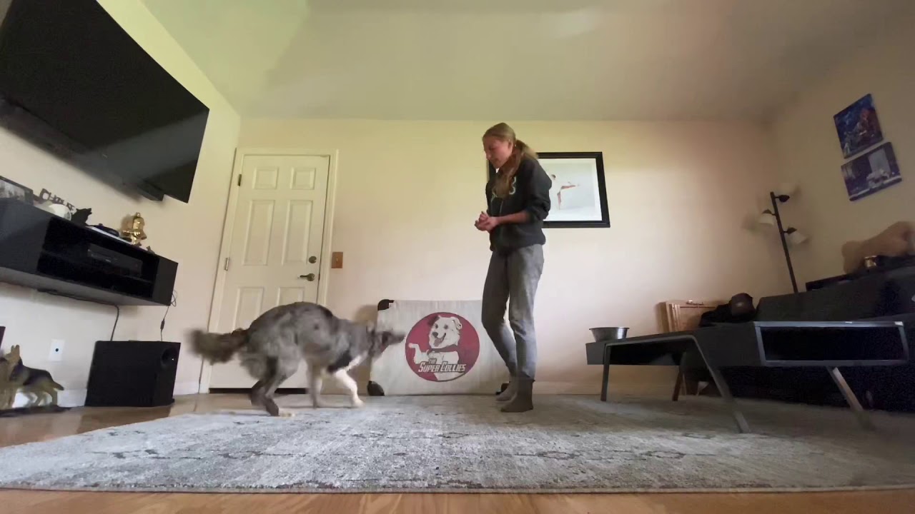 Rainy Day Training