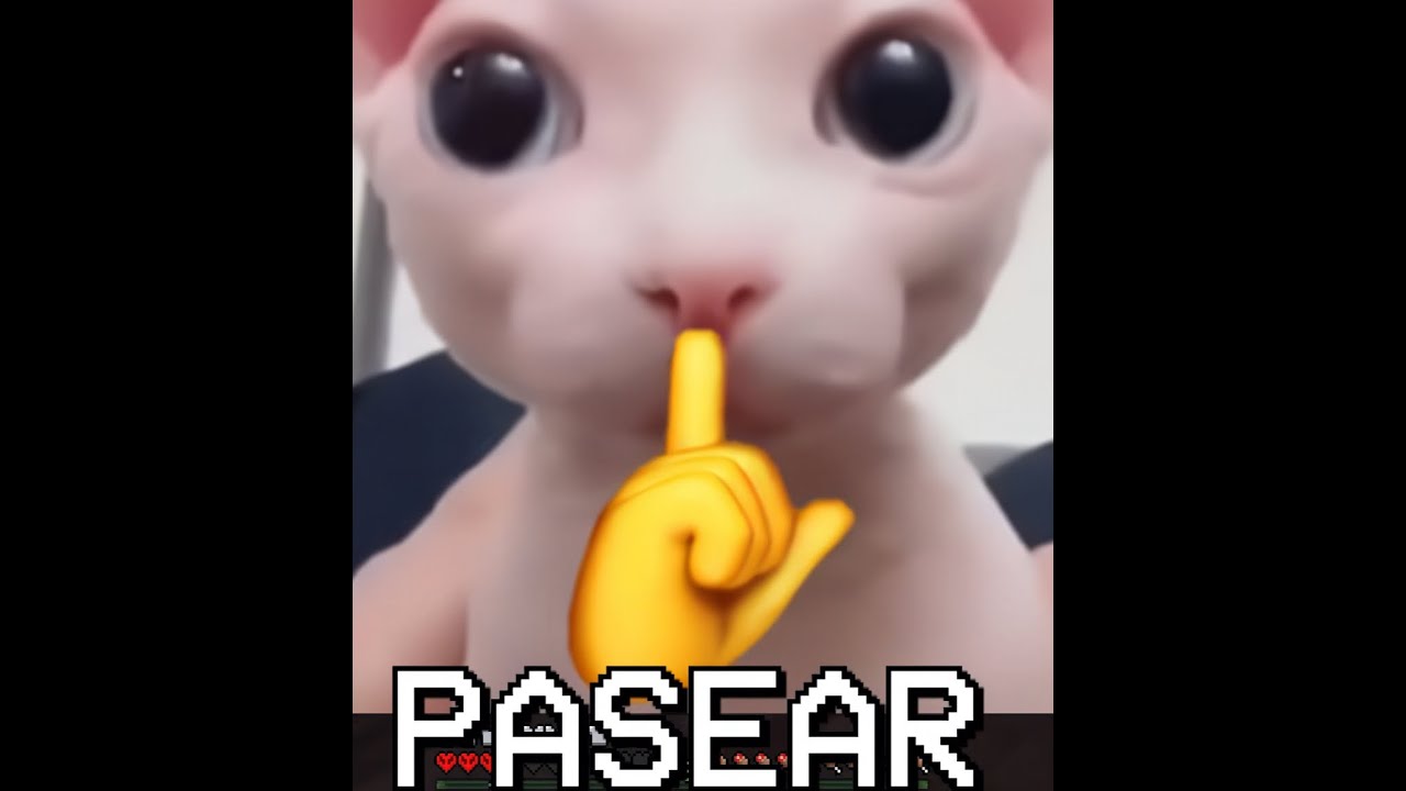 UHC NEW LEGENDS T2 EP 5 Un largo paseo