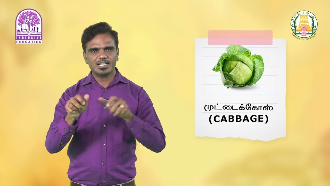 VEGETABLES | காய்கறிகள் | SIGN LANGUAGE | சைகை மொழி | Session 10 | Kalvi TV