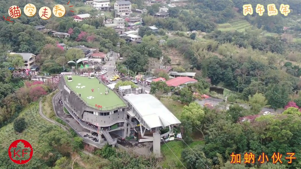 丙午馬年初四貓空走春
