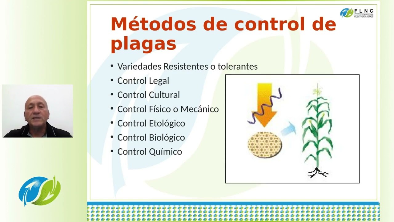 Aprenda sobre Manejo Integrado de Plagas (MIP)