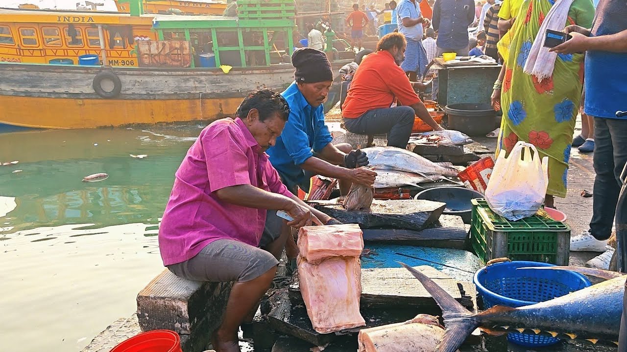 Vizag biggest fishing harbour routine lifestyle Wednesday morning live market 18/02/2026