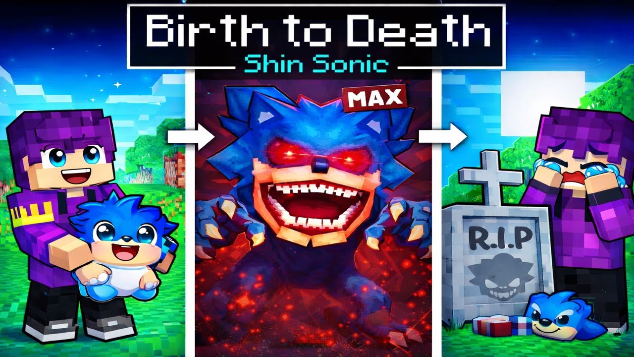 Birth to Death of SHIN SONIC In Minecraft