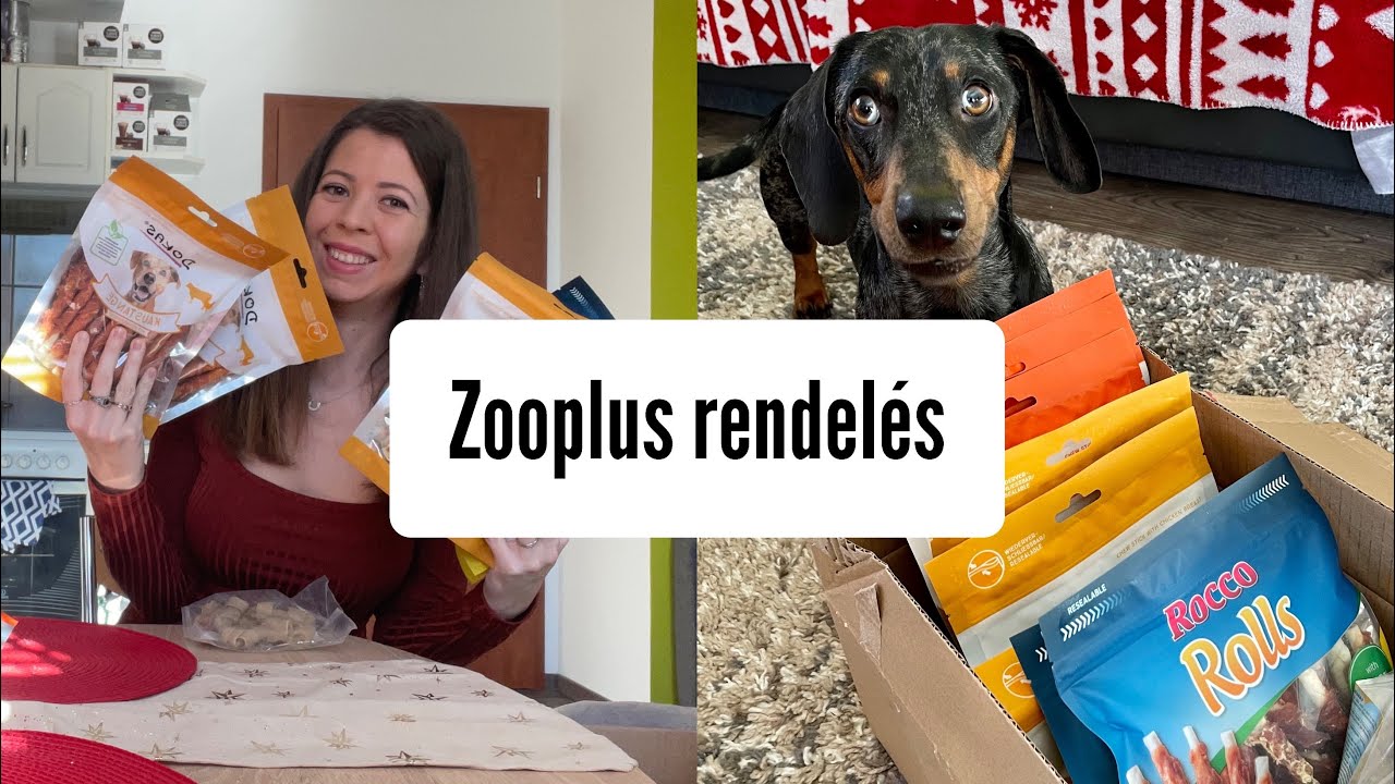 Zooplus jutalomfalat rendelés kutyáknak🐶