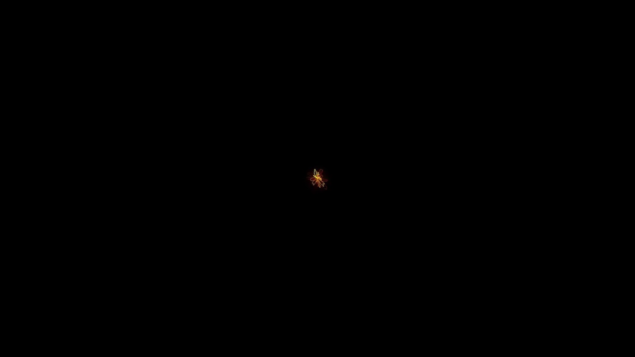 A.L.I.S.O.N - Continuity(flower visualiser)
