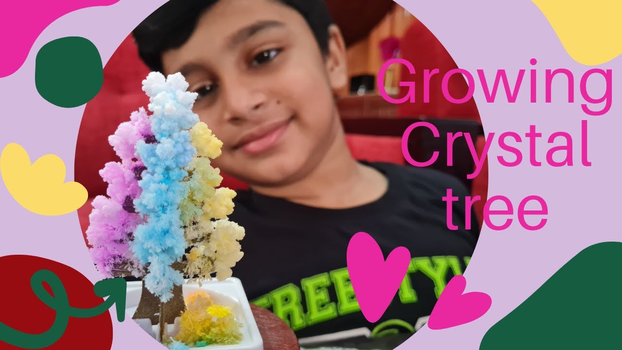 Magical Crystal Tree | DIY | How to grow Crystal tree at home | Amazing Chemistry Experiment |