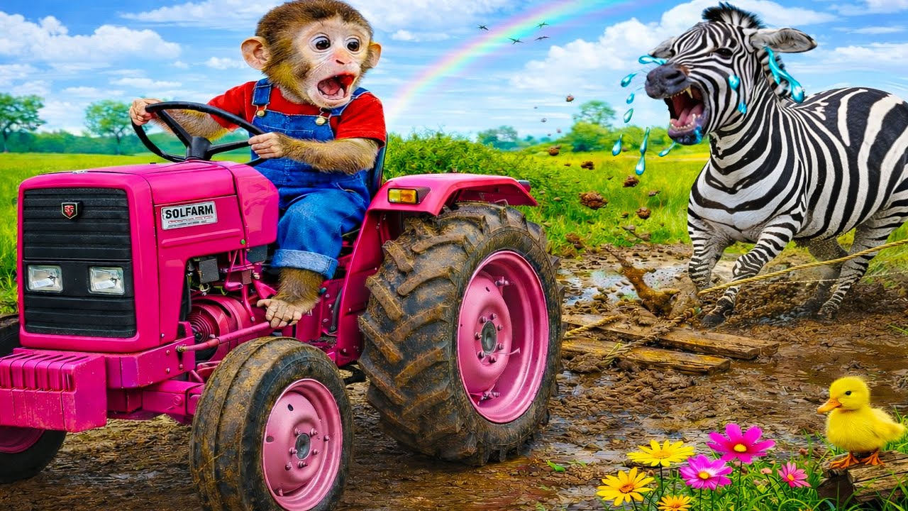 Monkey iZi Drives Tractor to Harvest Oranges and Catch a Sneaky Thief on the Farm!