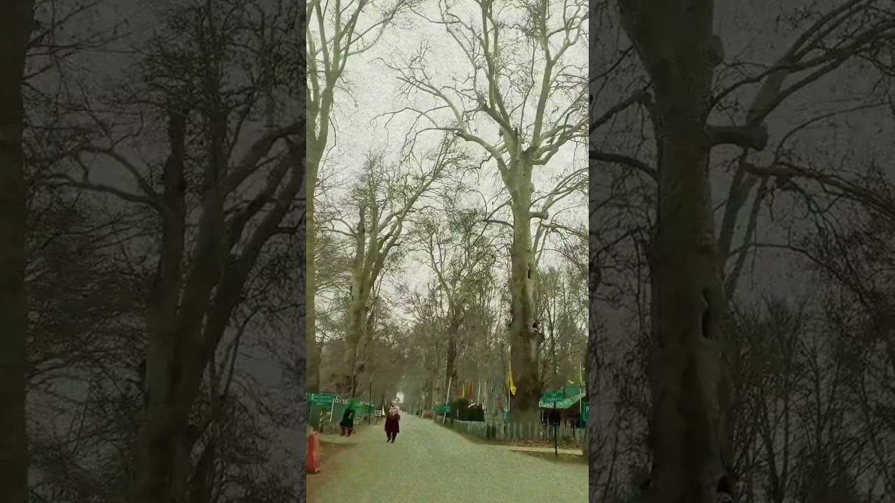 Morning in Kashmir University ft. Aftaab Yawar Abdal