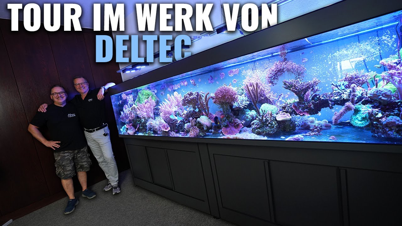 ABYZZ bekommt eine Tour bei DELTEC!