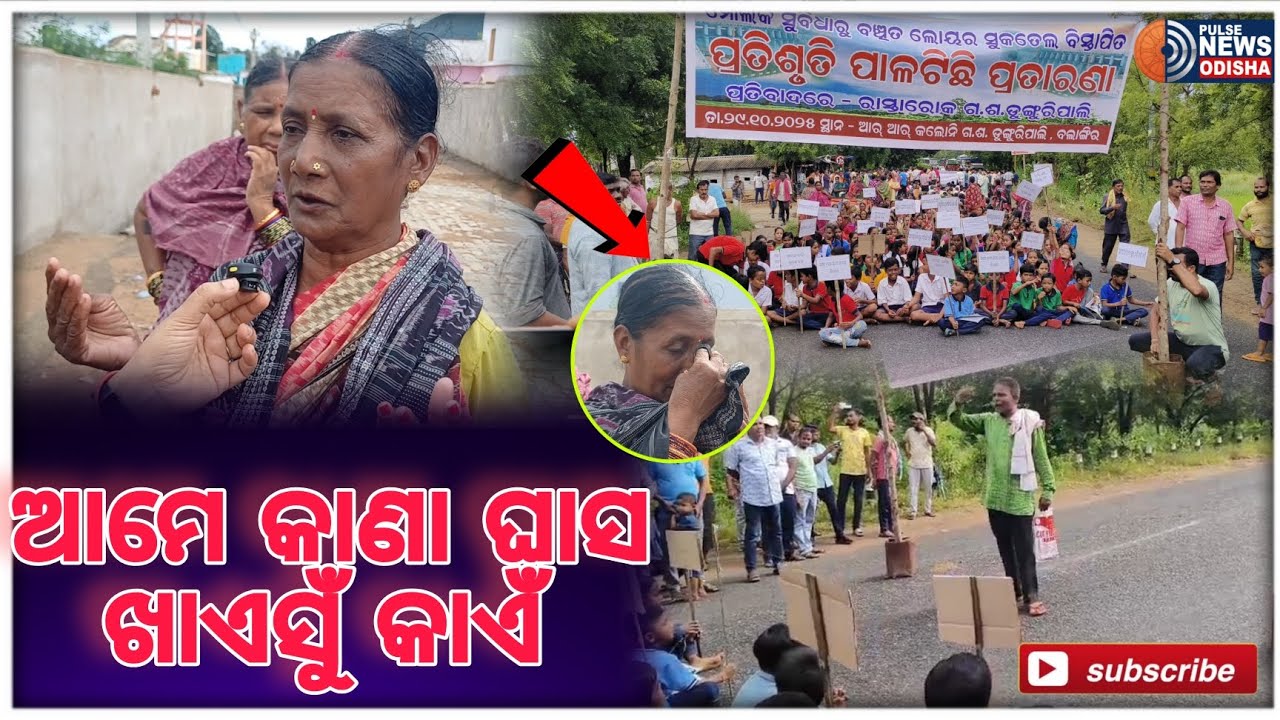 ଆମେ କାଣା ଘାସ ଖାଏସୁ  ??#lowersuiktailproject #RRcolony #collectorbalangir #irrigationproject