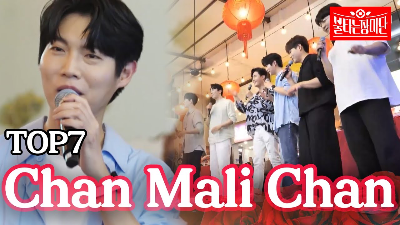 TOP7 - chan mali chan｜불타는 장미단