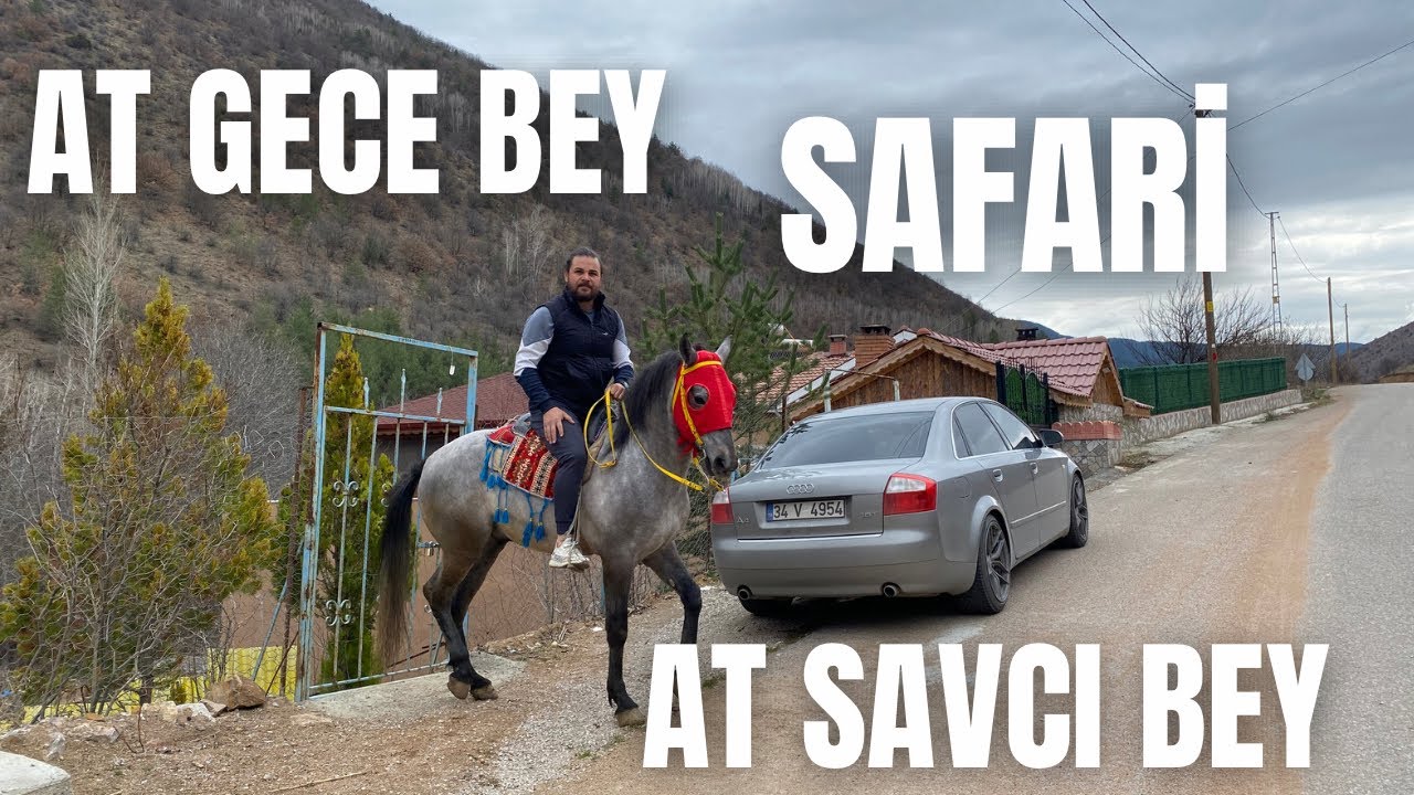 AT GECE BEY VE SAVCI BEYLE SAFARİ