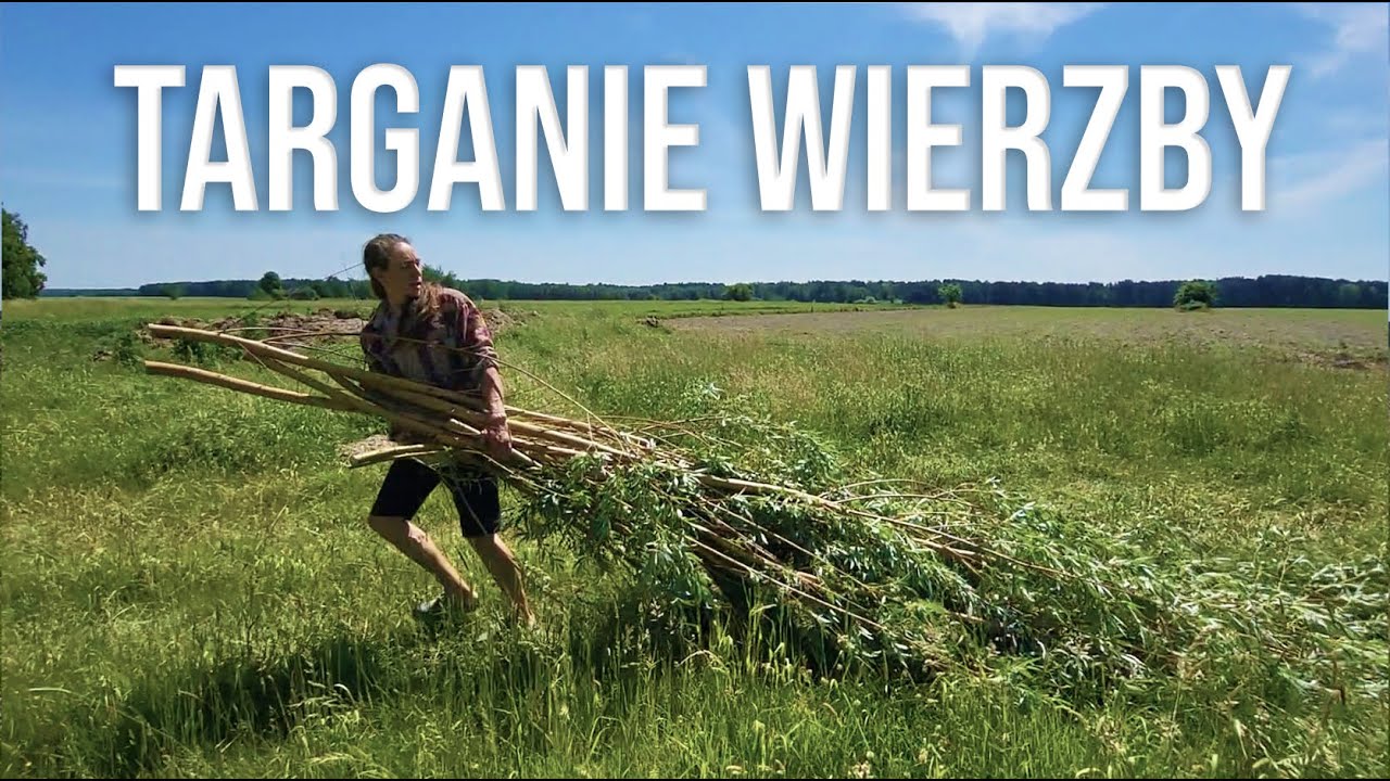 Tarasowe Oczko Wodne