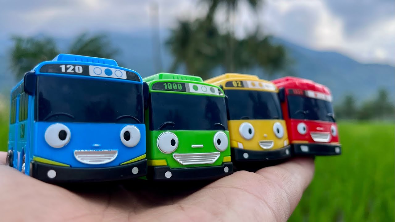 Mencari Mainan Tayo Bus Kecil di Air Panas Persawahan - Tayo The Little Bus