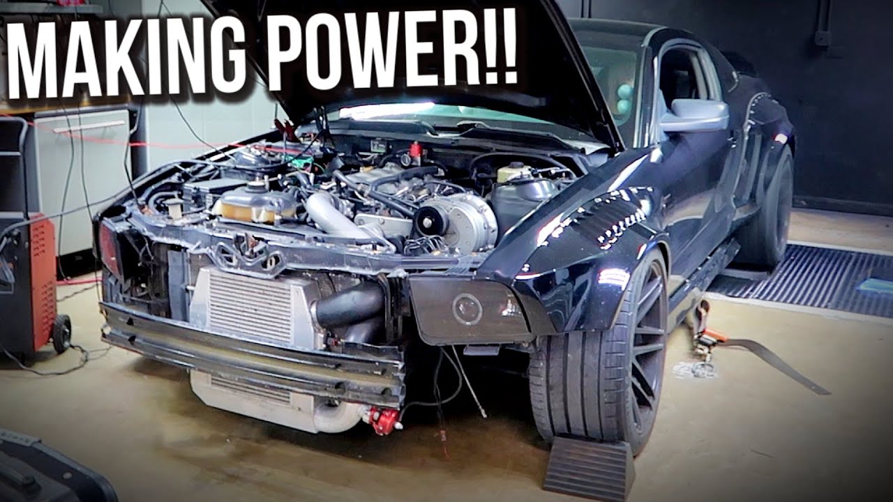 COYOTE SWAP MUSTANG HITS THE DYNO!! *Procharger SCREAMIN!*