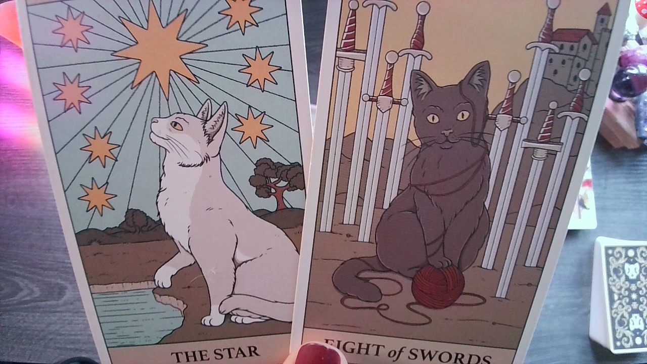 СКОРПИОН♏ ОТПУСТИ НЕГАТИВНЫЕ МЫСЛИ, У ТЕБЯ ВСЁ ПОЛУЧИТСЯ!!🙏