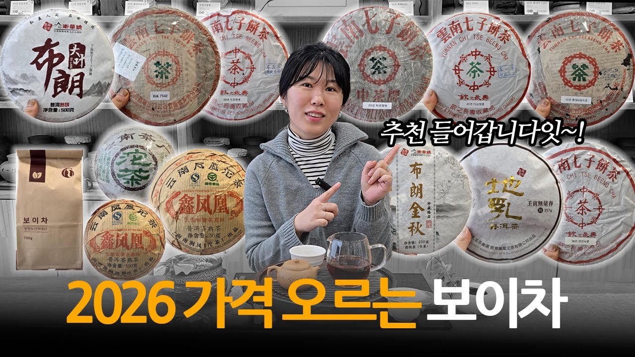 나왔다. 2026 가격 상승 보이차! 보이차 추천 받아 가세요~✨|지유명차 용인중앙
