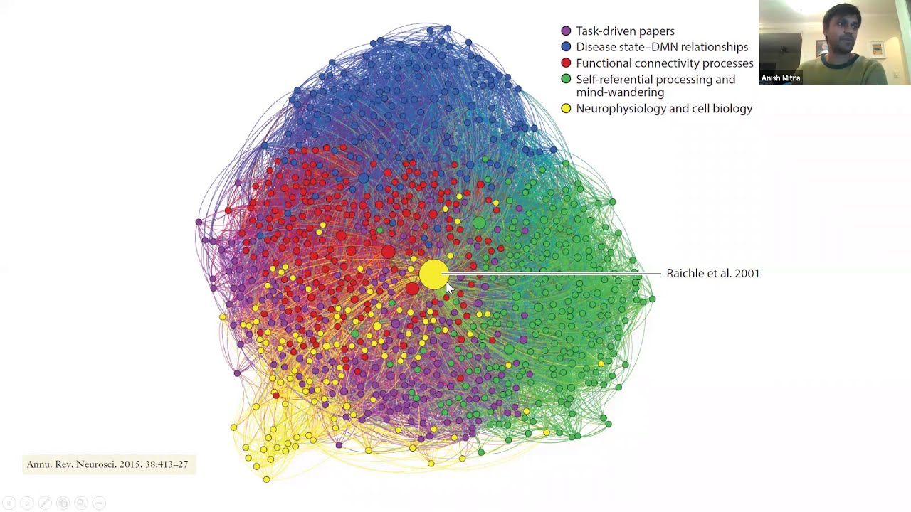 Demystifying the Default Mode Network