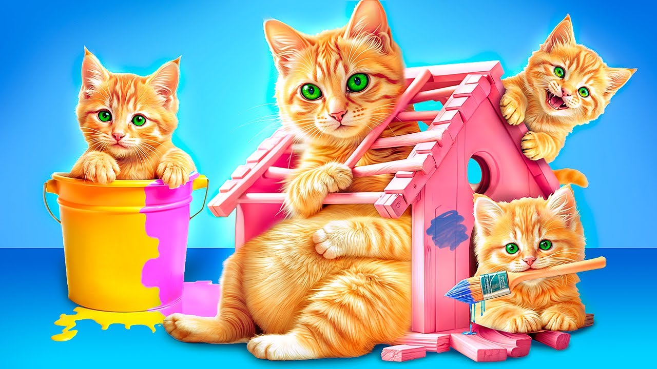 We Saved a Pregnant Cat! We Build a Secret Room for Kittens!