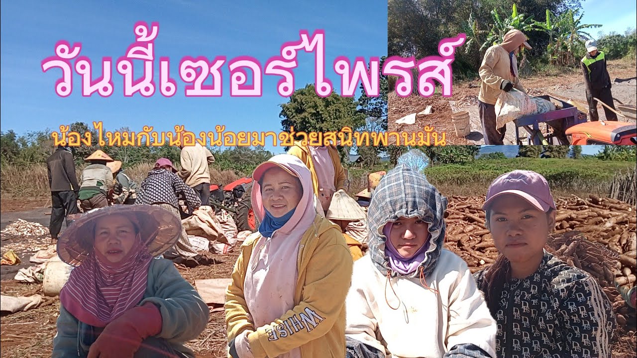 น้องไหมกับน้องน้อยมาช่วยสาวนิดพานมัน28 ມັງກອນ 2026
