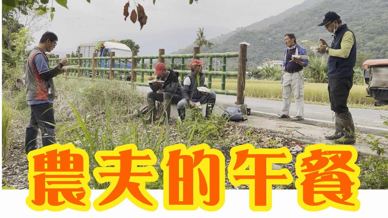 有鋤草絕對會增加收成
