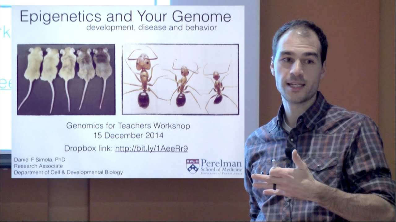 Epigenetics and Your Genome: Development, Disease and Behavior