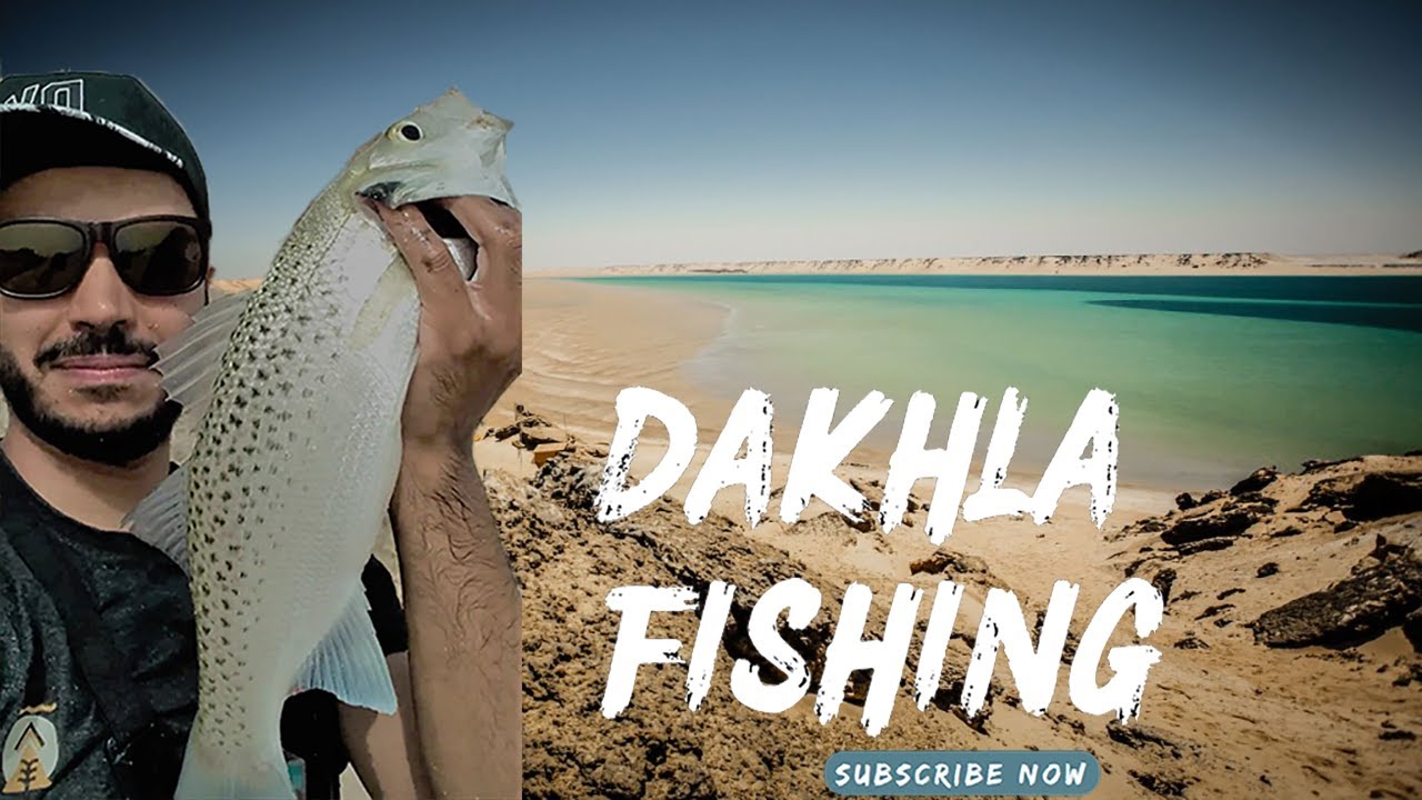 p&ecirc;che dakhla || رحلة صيد لن تنسى بمدينة الداخلة. التقاوس على المباشر حلقة مليئة بالاثارة و التشويق