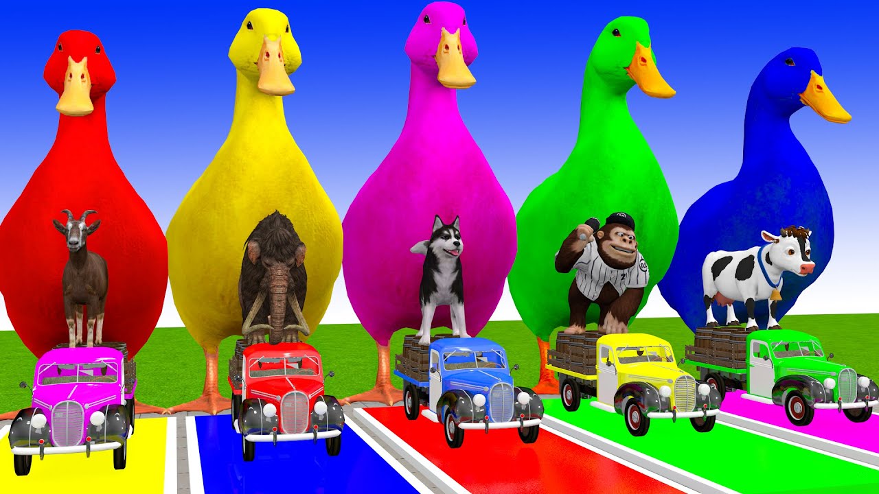Long Slide Game With Cow Elephant Gorilla Hippopotamus Tiger 3d Animal Game Funny 3d Animals